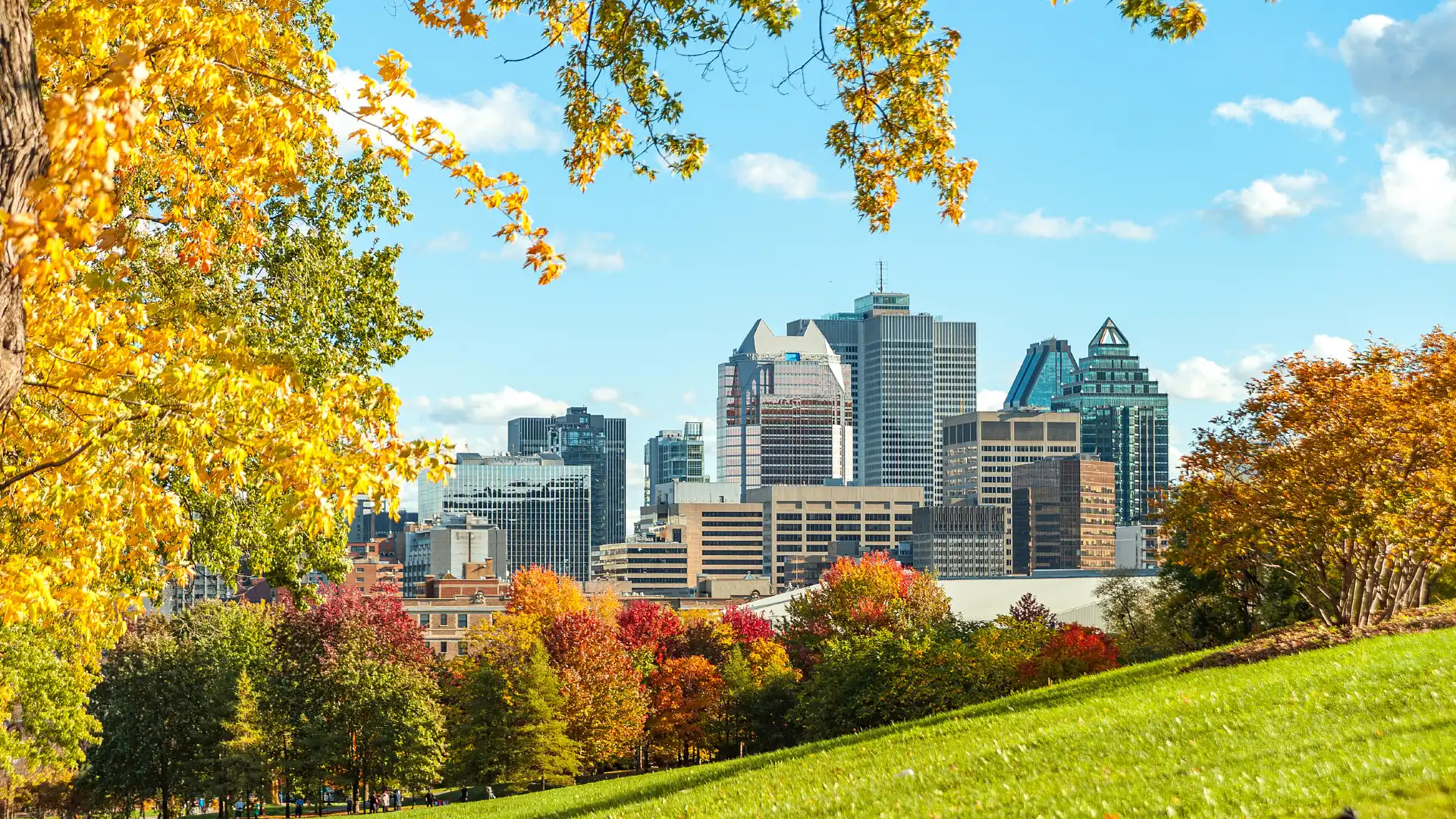Hotels near Mount Royal Park