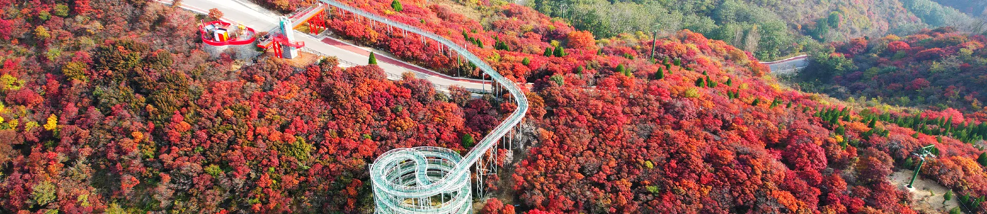Fall Viewing Attractions