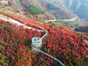 산동 문려·홍엽 시암 관광지(산둥 원뤼·훙예 스옌 뤼여우취)