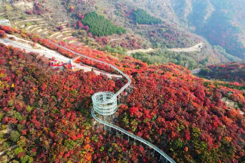山東文旅·紅葉柿岩旅遊區
