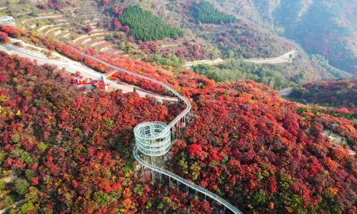 Hongye Shiye Tourist Area