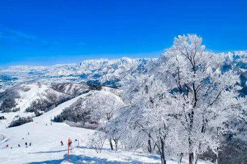 神樂滑雪場