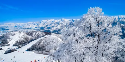 神樂滑雪場