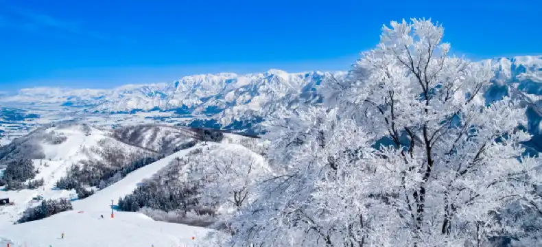 โรงแรมใกล้ลานสกีอิวัปปาระ