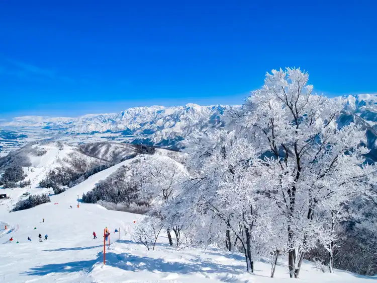 Hoteles en Yuzawa