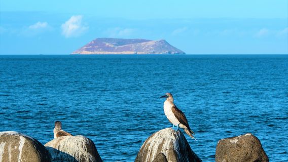 Metropolitan Touring