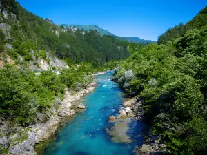內雷特瓦河