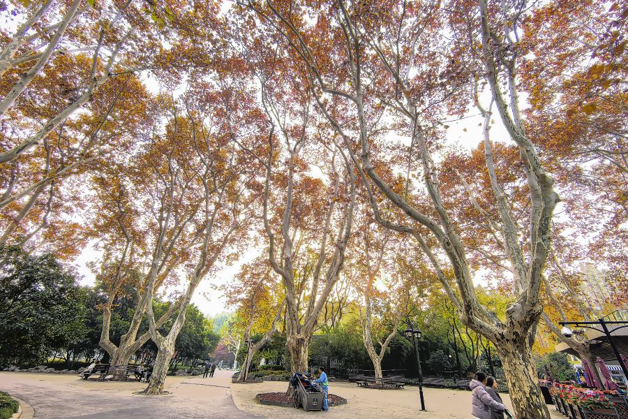 復興公園