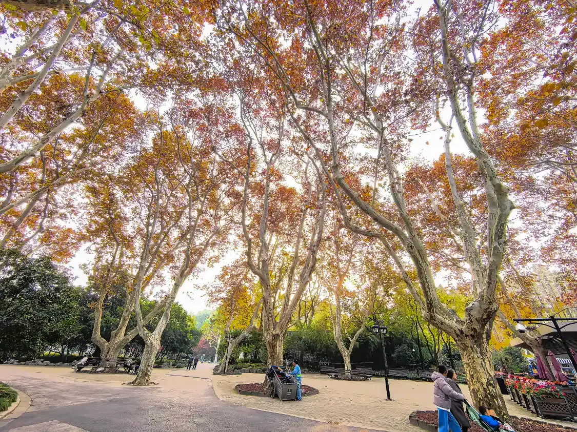 Hotels near Fuxing Park