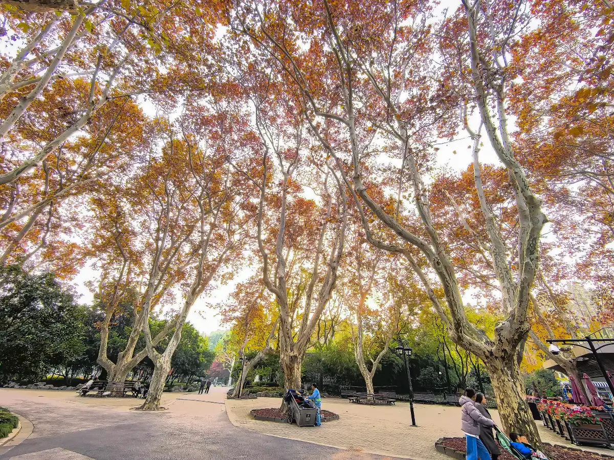 Fuxing Park