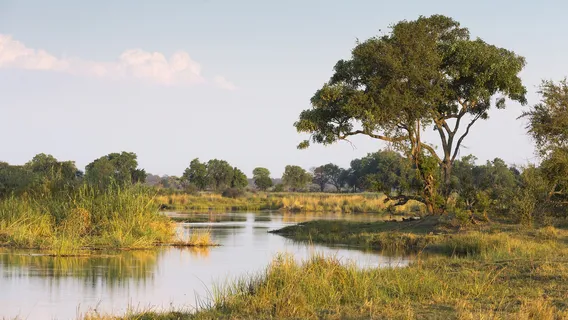 Chobe River
