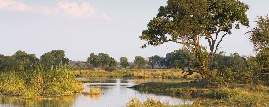 Chobe River