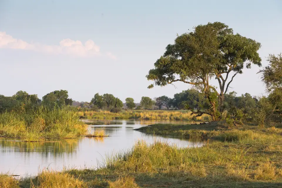Chobe River