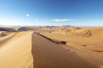 Big Daddy Dune