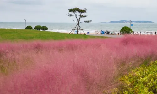 Yantai Golden Beach Seaside Park