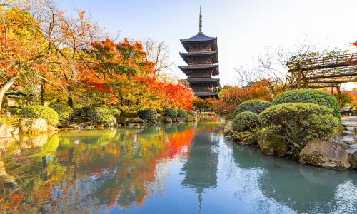 도지(교왕호국사)