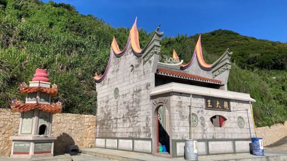 zhao dai wang miao