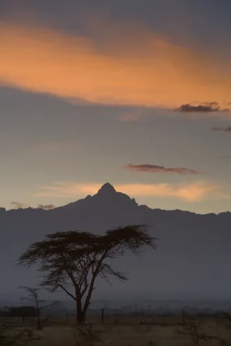 Mount Kenya Forest