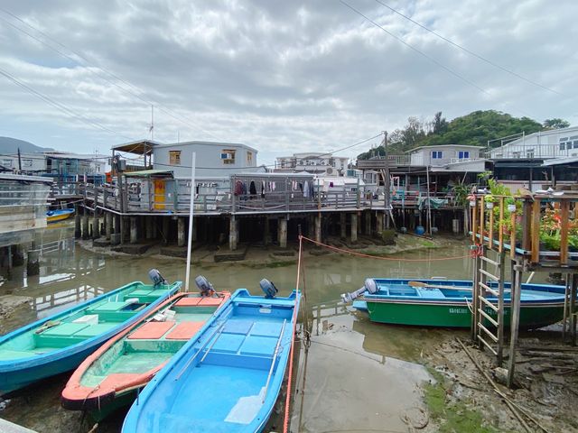 大澳虎山睇海豚，東涌staycation