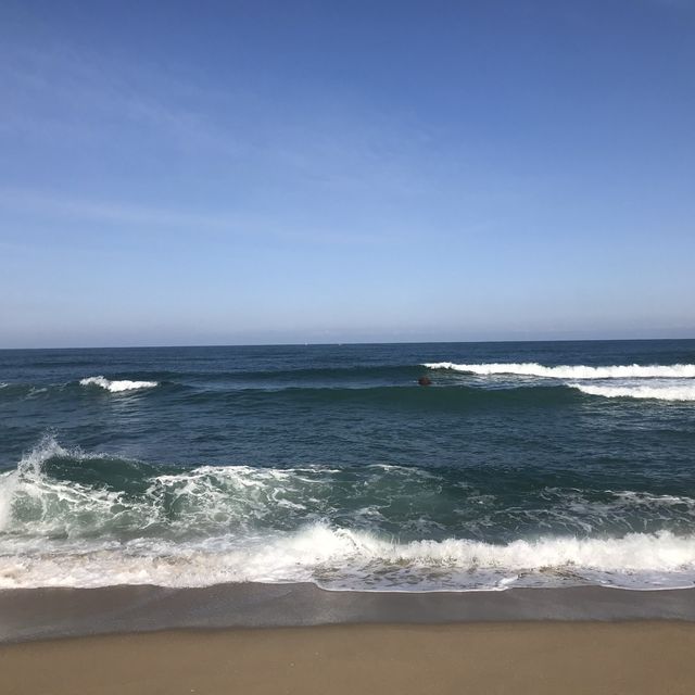 안목해변과 강릉시장