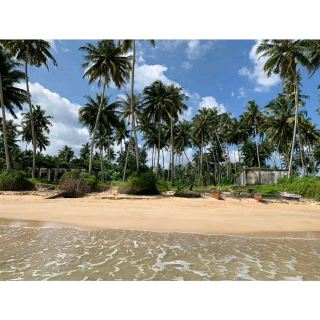 The Beauty of Lagundri