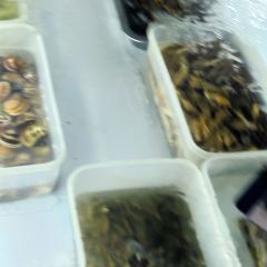 罗源湾77号渔排 User Photo