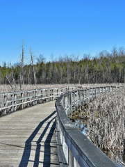 Bois-de-l’Île-Bizard自然公園