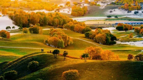 Saihanba National Forest Park attraction in Chengde