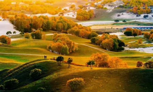 Saihanba National Forest Park
