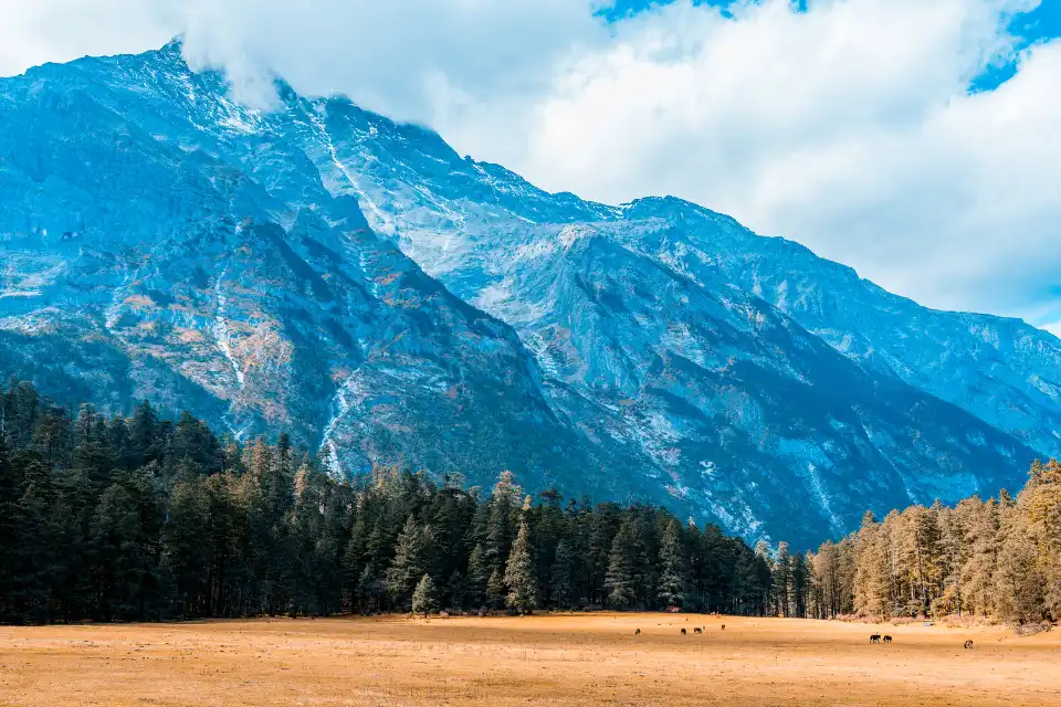 2_Yulong Snow Mountain