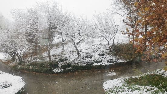 公園景色宜人，有山有水，山不太高，但景色別緻可以拍照，水不太