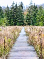 Jianshui River National Wetland Park