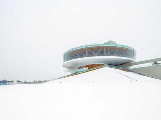 Zhengzhou Art Museum