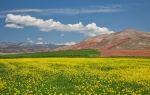 Red Rock Canyon National Conservation Area