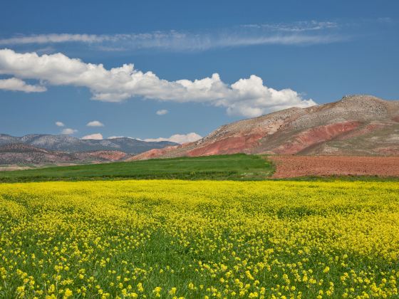 Red Rock Canyon National Conservation Area