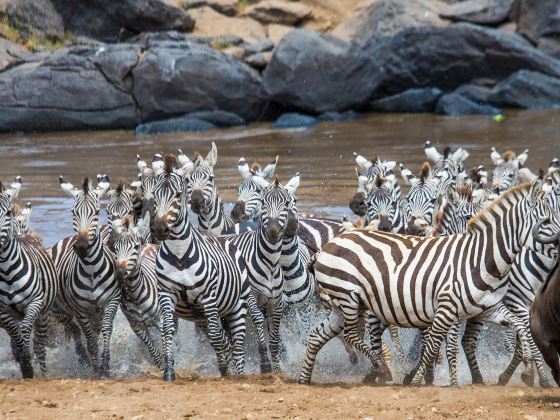 Serengeti National Park