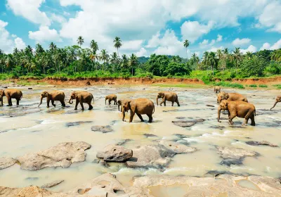 Sabaragamuwa