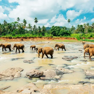 4-Star-Hotels in Ratnapura