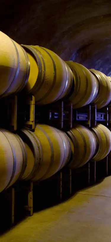 Калифорния, США: отели на тему «Пляж»