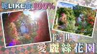 【呃LIKE度100%】隱世愛麗絲花園 ｜點影得靚？男友必睇！