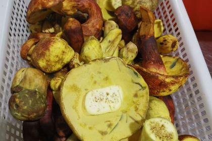 寻常宴野生菌火锅