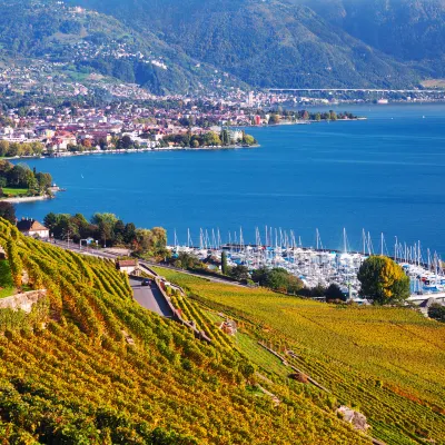 (The Luxury Collection Hotels in Geneva