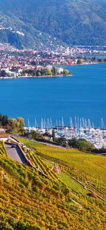 Hotels in Vevey