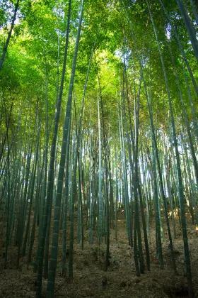 拉薩 飛 岳陽