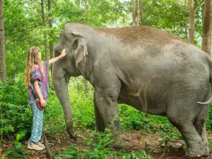 清邁大象叢林保護區半日遊【免費攝影服務/贈送傳統克倫服飾】