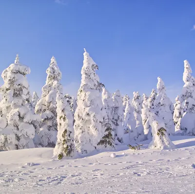 Hoteles en Yamagata