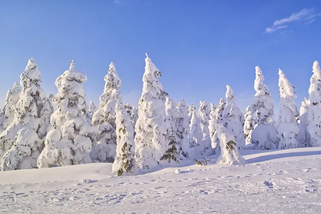 Vé máy bay Yamagata An Khánh