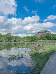Huanannongye University Wetland Park