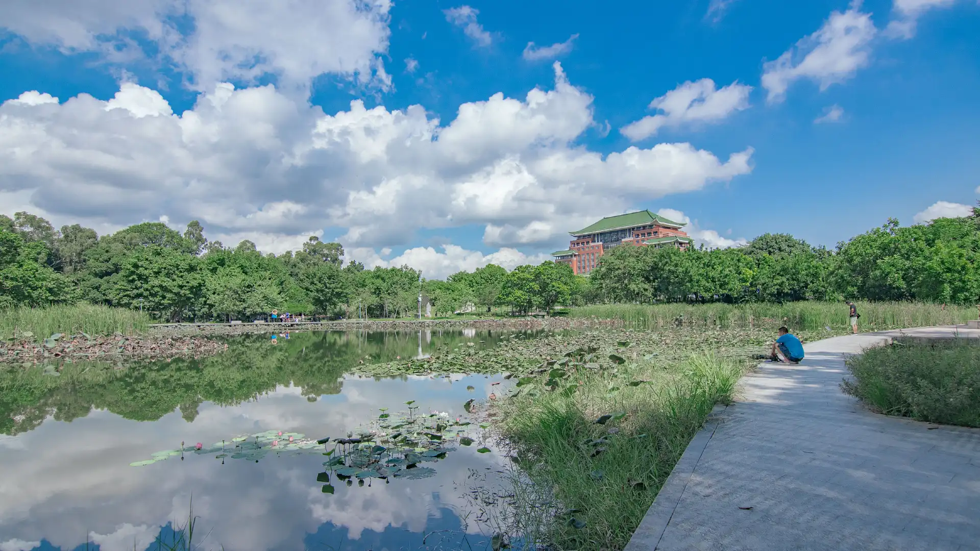 華南農業大学湿地公園周辺のホテル