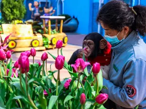 北京野生動物園